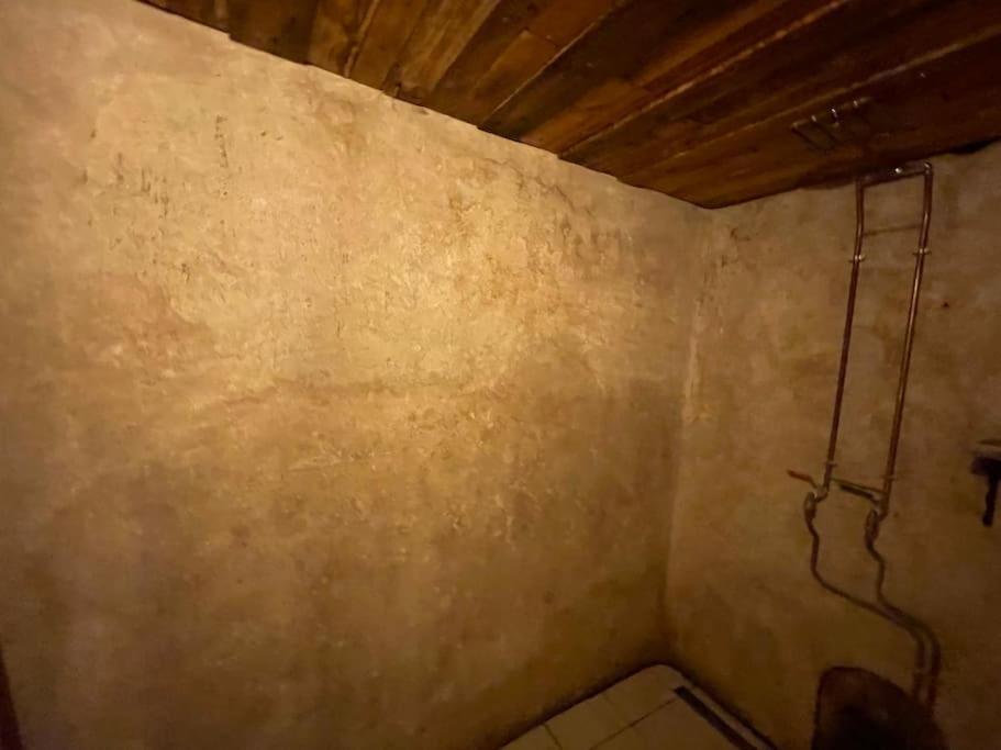 Maison Vigneron - Maison Et Studio Saint-Didier-sur-Beaujeu ภายนอก รูปภาพ