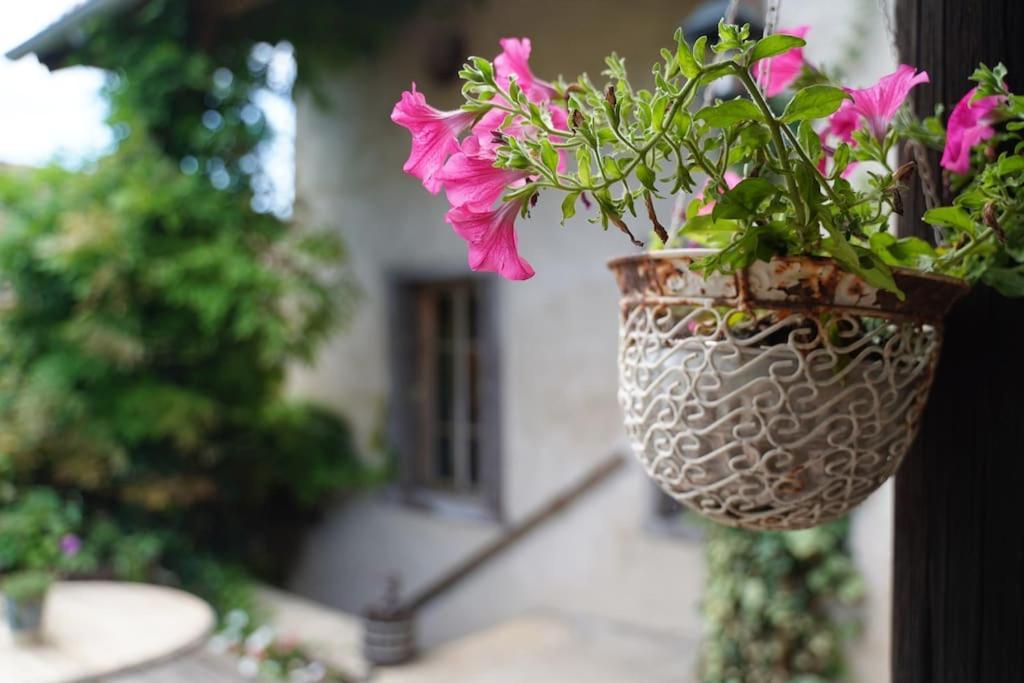 Maison Vigneron - Maison Et Studio Saint-Didier-sur-Beaujeu ภายนอก รูปภาพ