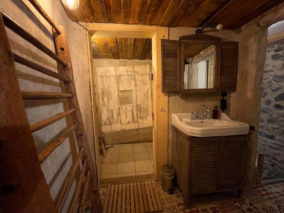 Maison Vigneron - Maison Et Studio Saint-Didier-sur-Beaujeu ภายนอก รูปภาพ